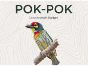 What’s in a name?: A bird called ‘Pokpok’