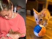 Jodi Sta. Maria and Naia: Journey from being a stray kitty to a celebrity pet Jodi Sta. Maria and Naia