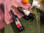 ‘What not to do in a party’: Liquor store includes cake-smearing in reminder Liquor
