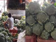 Local family of farmers struggle after unsold broccolis, crops rot. Here’s how to help them.