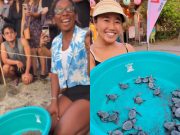 Pro surfers Natsumi, Dominique join release of baby sea turtles in La Union