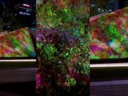 Catch colorful digital art ‘In Bloom’ still up at Ayala Triangle Gardens