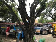 As Philippines scraps jeepneys, operators struggle with costs
