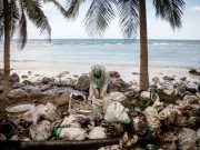 Why the use of hair in oil spill cleanup drive is not recommended, according to expert