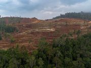 Palawan bishops urge mining moratorium
