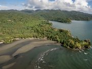 Call for help: UP experts ask public to report oil spill sightings