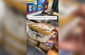 Selecta Ice Cream_PSND