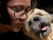 Realistic pet plushy