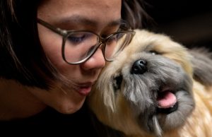 Realistic pet plushy