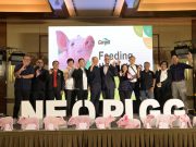 Modern farming, piglet food: How agri firm plans to address ASF