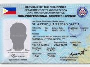 Tech-related concerns raised as LTO announces digital driver’s license initative Driver's license appearance