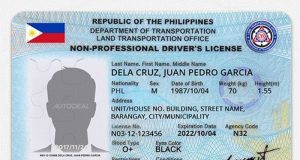 Driver's license appearance