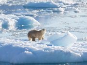 ‘More likely than not’ world will soon see 1.5C of warming —WMO