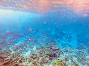 Philippines weighing legal options against China over coral reef ‘destruction’