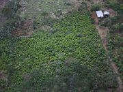 Colombia was deadliest country for environmentalists in 2022 — advocacy group