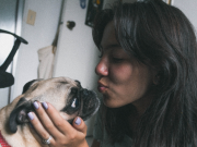 Is it okay to kiss your pet? The risk of animal-borne diseases is small, but real