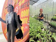 ‘Big surprise for me’: Ces Drilon reflects on viral success of ‘Stress Drilon’ ad