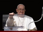 Pope defends same-sex blessings declaration, says it is misunderstood