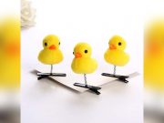 Duck hair clip