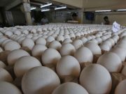 DA asked to donate eggs amid reported oversupply Eggs