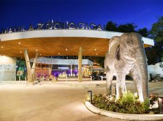 Manila Zoo entrance