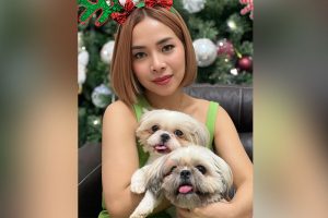 4th Impact’s Almira says donations for dog fundraising already ‘refunded’