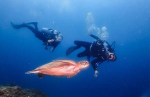 Diving