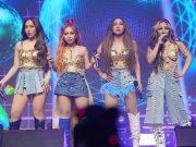 Pinoys worry about 4th Impact’s 200 pet dogs after reported move to US 4th Impact