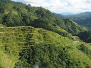 Banaue Rice Terraces
