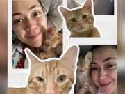 Jodi Sta. Maria dedicates post to rescued cat Naia for National Kitten Day Jodi Sta Maria_Naia