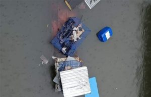 San Juan City Pound animals