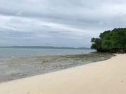 Bishop hits ‘harassment’ of Palawan islanders over resort dispute