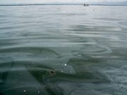 Philippine oil spill reaches fishing town, threatens livelihoods