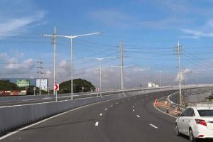 Snake on the loose: Reptile causes vehicular traffic along CAVITEX