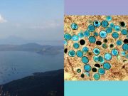 ‘Deja vu’: Taal Volcano’s vog, new mpox case give off 2020 vibes for Pinoys Taal Volcano_mpox