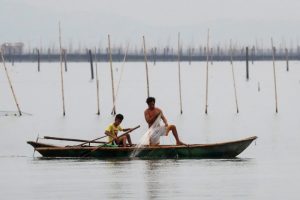 Filipino fishermen worry solar farm on lake will hurt incomes