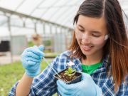 3 Filipina students awarded ‘Women in STEM’ scholarships in UK universities