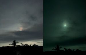 Asteroid_2024 RW1