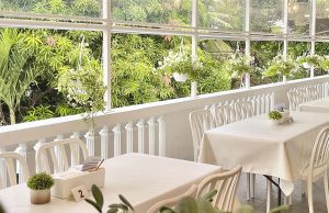 Terrasse MNL