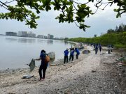 Sustainability efforts remain top consideration for employees, job applications, says firm