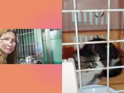 Cat dragged by tricycle driver in viral video now under care of animal lover Viral cat_Pangasinan
