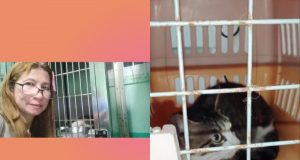 Viral cat_Pangasinan