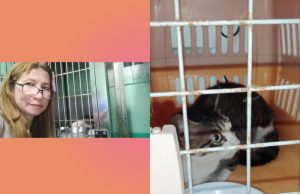 Viral cat_Pangasinan