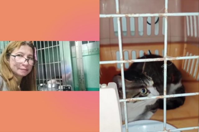 Viral cat_Pangasinan