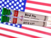 World animal health body urges tighter bird flu controls after US death