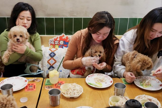 Shanghai celebrates Lunar New Year with a dogs' dinner