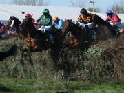 Horse racing: Celebre D’Allen dies after Grand National collapse
