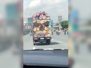 Filipino overtakes ‘Final Destination’ log truck in Commonwealth Avenue