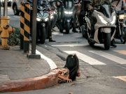 More claims of people in drains surface amid viral Makati image