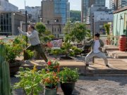 Jackie Chan, Ralph Macchio join martial arts forces in ‘Karate Kid: Legends’